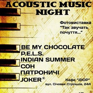 Концерт «Acoustic Music Night»