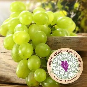 Свято винограду та вина 2015