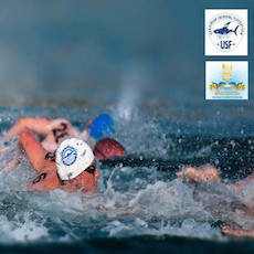 Чемпіонат України з плавання на відкритій воді «Мастерс»